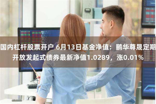 国内杠杆股票开户 6月13日基金净值：鹏华尊晟定期开放发起式债券最新净值1.0289，涨0.01%