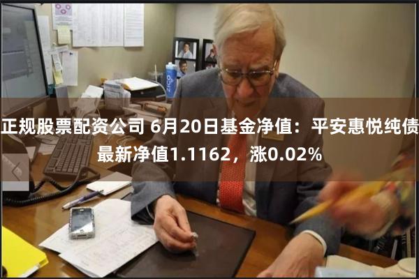 正规股票配资公司 6月20日基金净值：平安惠悦纯债最新净值1.1162，涨0.02%