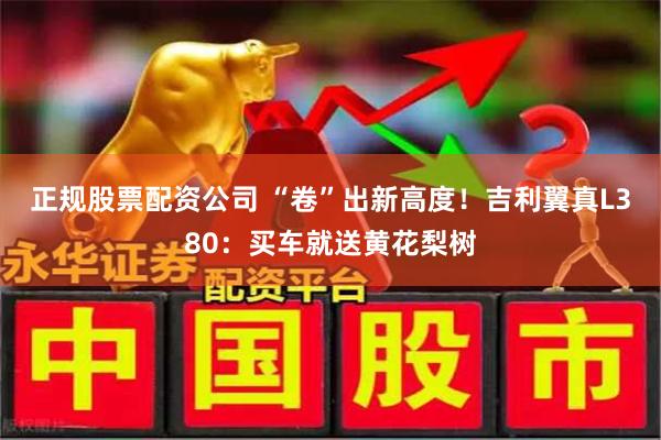 正规股票配资公司 “卷”出新高度！吉利翼真L380：买车就送黄花梨树