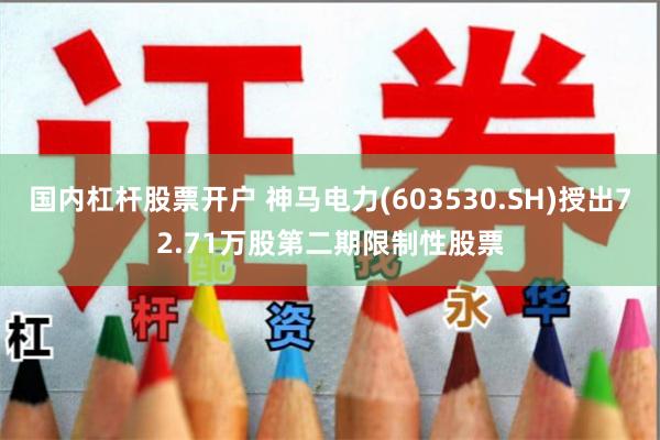 国内杠杆股票开户 神马电力(603530.SH)授出72.71万股第二期限制性股票