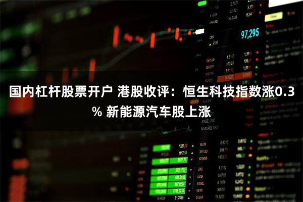 国内杠杆股票开户 港股收评：恒生科技指数涨0.3% 新能源汽车股上涨