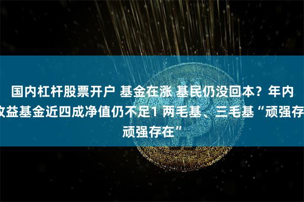 国内杠杆股票开户 基金在涨 基民仍没回本？年内正收益基金近四成净值仍不足1 两毛基、三毛基“顽强存在”