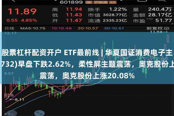 股票杠杆配资开户 ETF最前线 | 华夏国证消费电子主题ETF(159732)早盘下跌2.62%，柔性屏主题震荡，奥克股份上涨20.08%