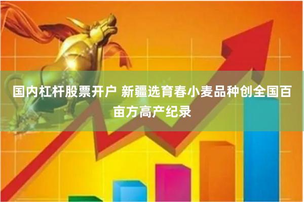 国内杠杆股票开户 新疆选育春小麦品种创全国百亩方高产纪录
