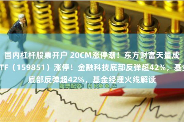 国内杠杆股票开户 20CM涨停潮！东方财富天量成交！金融科技ETF（159851）涨停！金融科技底部反弹超42%，基金经理火线解读