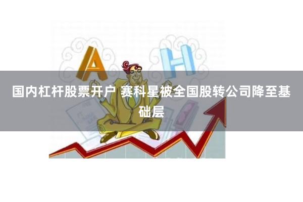 国内杠杆股票开户 赛科星被全国股转公司降至基础层