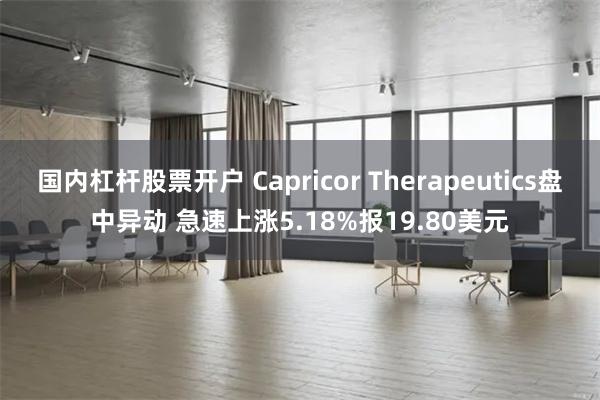 国内杠杆股票开户 Capricor Therapeutics盘中异动 急速上涨5.18%报19.80美元