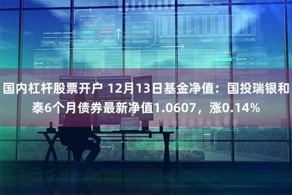 国内杠杆股票开户 12月13日基金净值：国投瑞银和泰6个月债券最新净值1.0607，涨0.14%