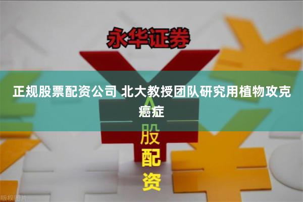 正规股票配资公司 北大教授团队研究用植物攻克癌症
