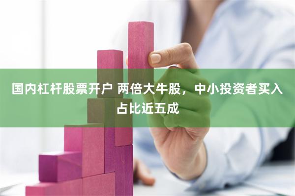 国内杠杆股票开户 两倍大牛股，中小投资者买入占比近五成