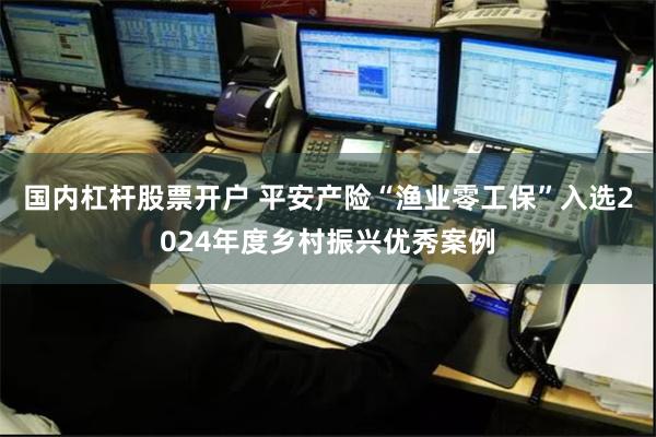 国内杠杆股票开户 平安产险“渔业零工保”入选2024年度乡村振兴优秀案例