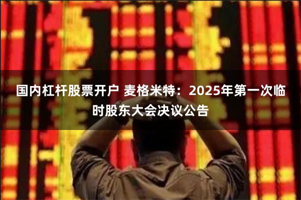 国内杠杆股票开户 麦格米特：2025年第一次临时股东大会决议公告