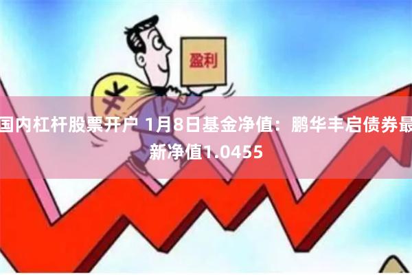 国内杠杆股票开户 1月8日基金净值：鹏华丰启债券最新净值1.0455