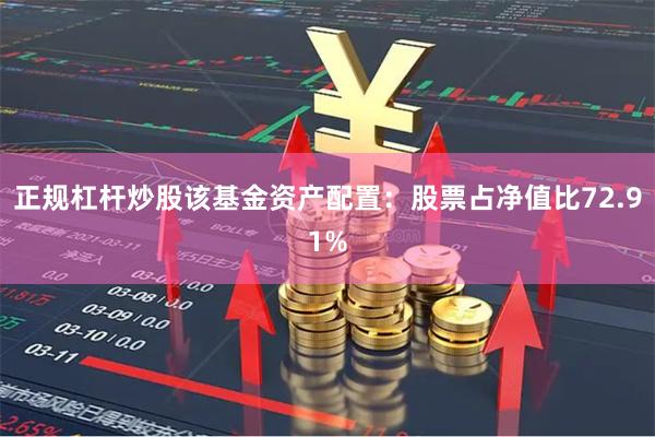 正规杠杆炒股该基金资产配置：股票占净值比72.91%