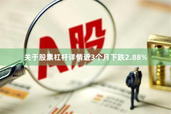关于股票杠杆详情近3个月下跌2.88%