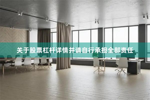 关于股票杠杆详情并请自行承担全部责任